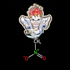 RACE FUEL NITROMIX FLASH UPGRADE